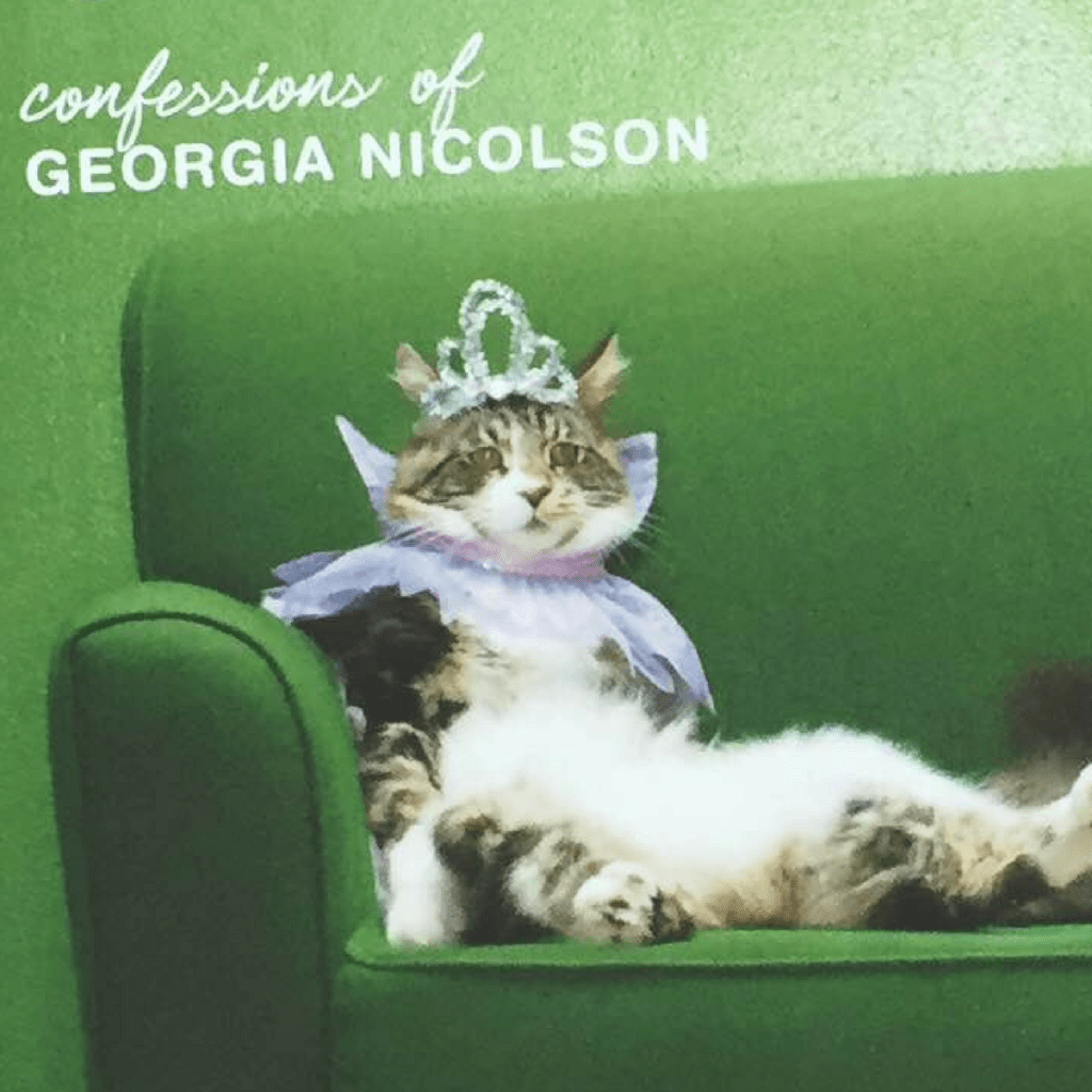 Angus, Thongs, and Full Frontal Snogging by Louise&nbsp;Rennison