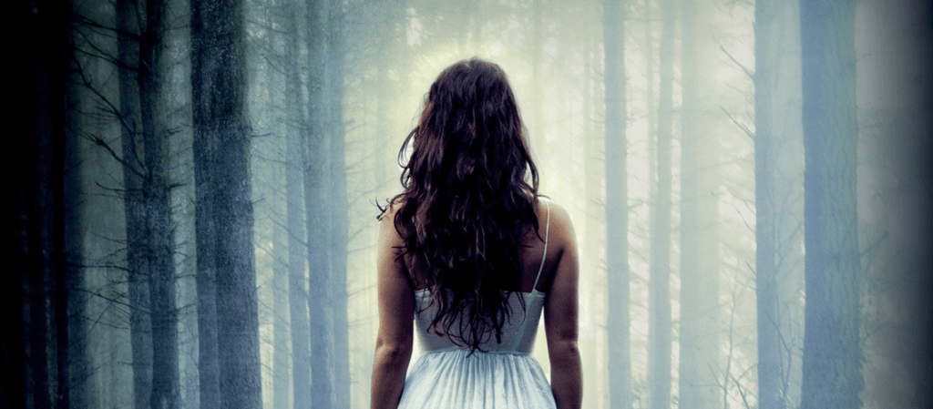 Dark Companion by Marta&nbsp;Acosta