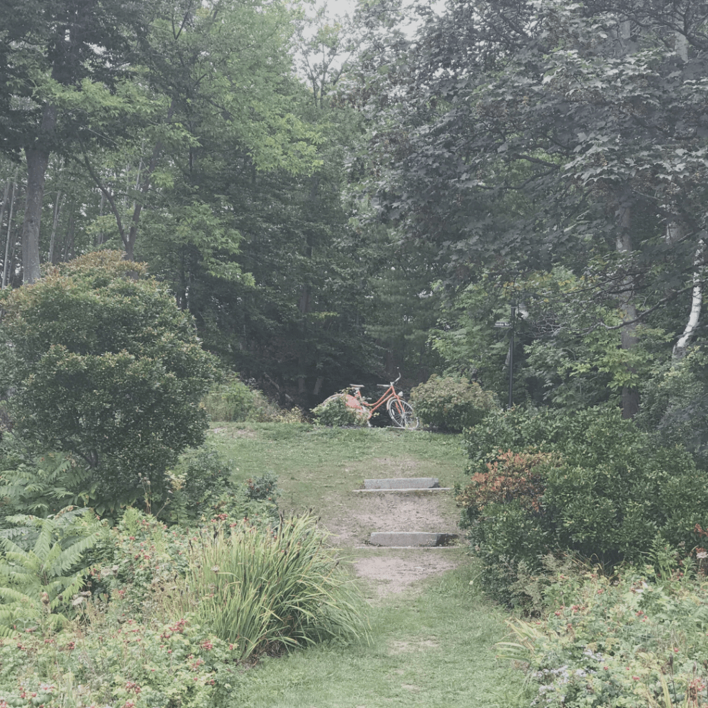 Word of the Year:&nbsp;Explore