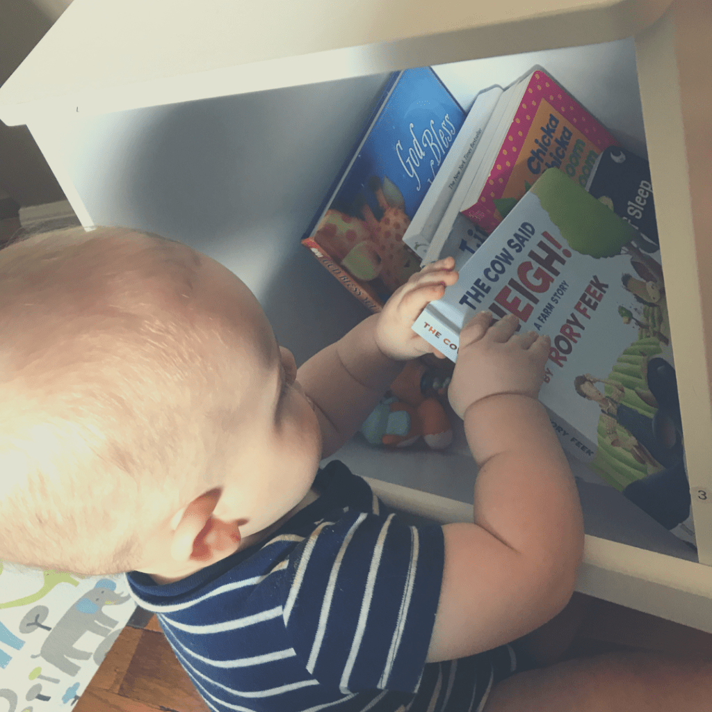 Five Picture Books About Trouble-Making Farm Animals We Are&nbsp;Reading