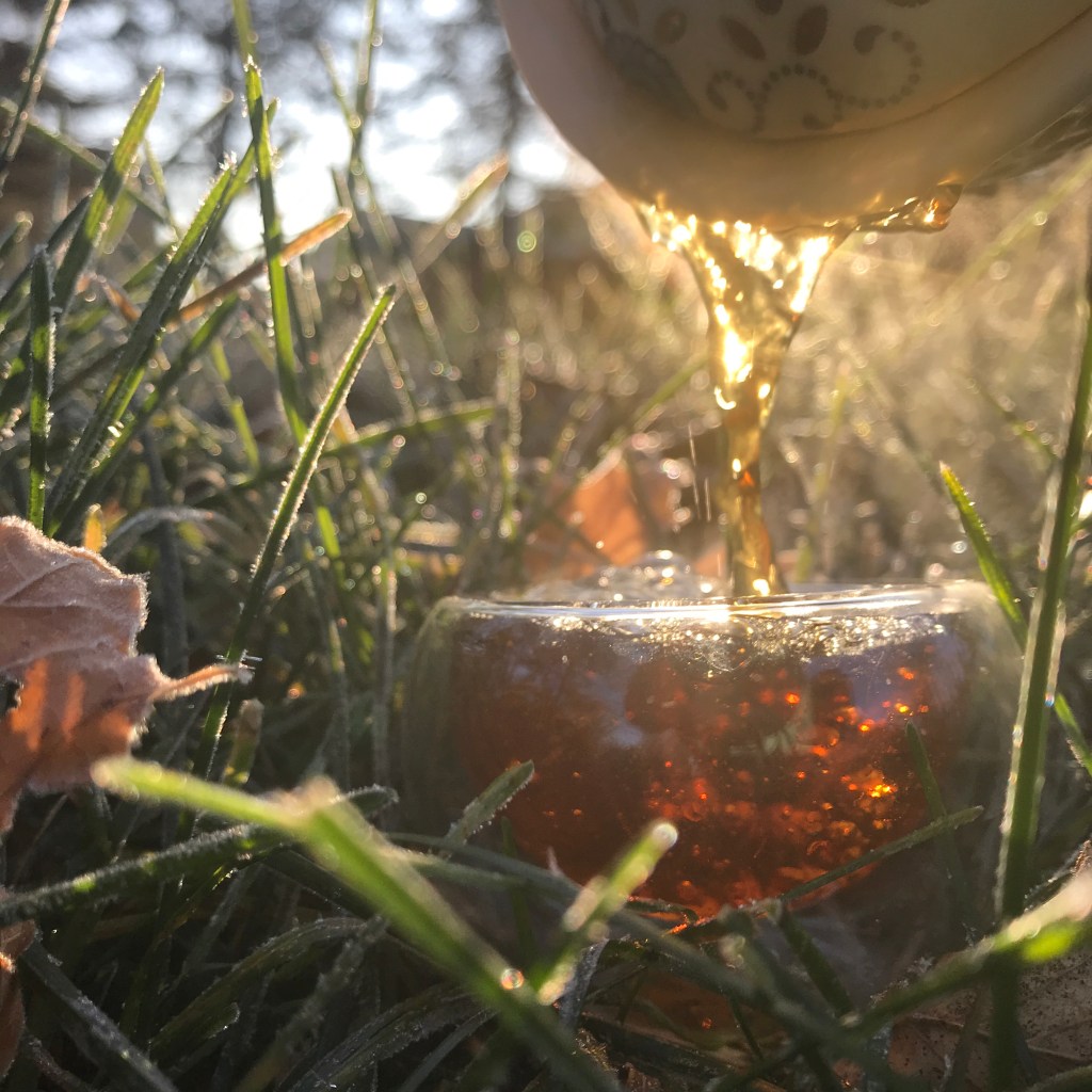 Five November Favorites