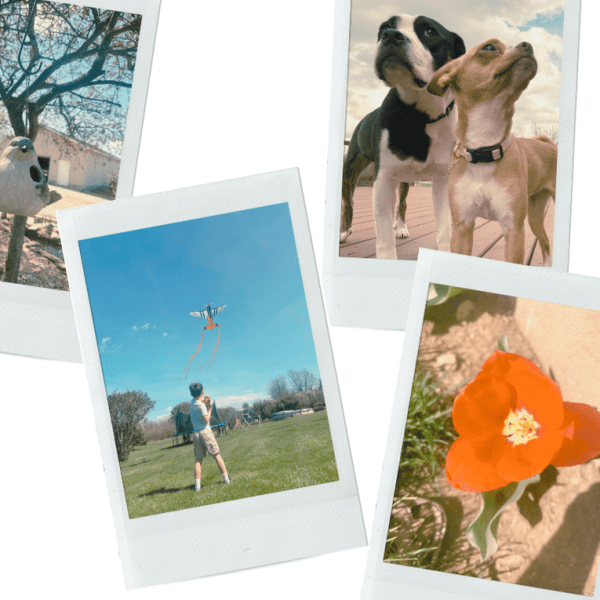 Ohio on my&nbsp;Mind