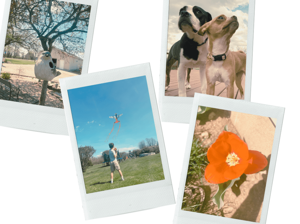 Ohio on my&nbsp;Mind